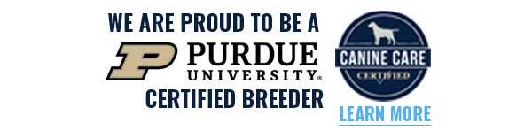 Purdue University Canine Dog Care certified Certificate