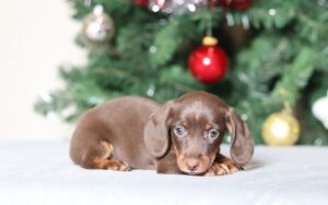 7223aaa-scaled.jpg November 20, 2025