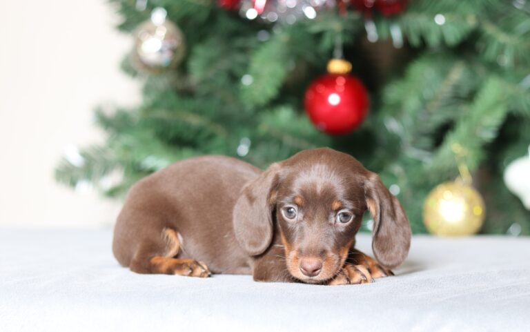 7223aaa-scaled.jpg November 20, 2025