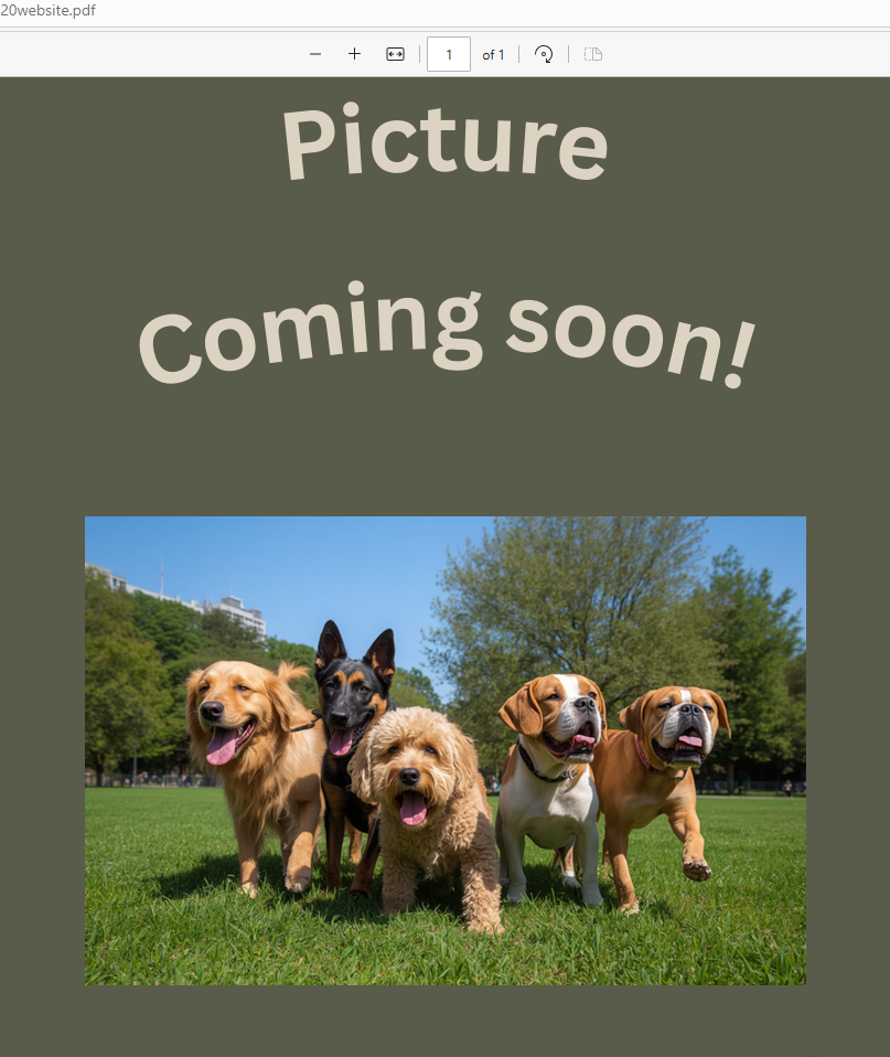 Placeholder banner with the text 'Picture coming soon!' above a photo of five dogs on a sunny park lawn.